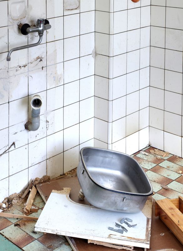 Clogged Sink Repair detail