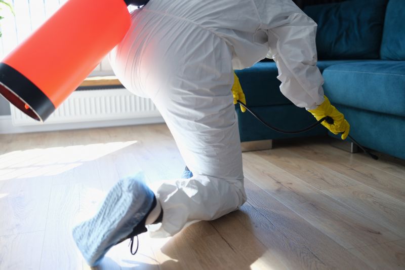 Spider Extermination Service